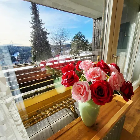Highlights-play Area In Children's Room! Terrace-park, Indoor Pool, Sauna, Hiking, Pingpang, Table-football, Tennis, Free Parking * Schonach im Schwarzwald