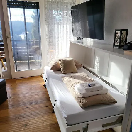 Highlights-play Area In Children's Room! Terrace-park, Indoor Pool, Sauna, Hiking, Pingpang, Table-football, Tennis, Free Parking Schonach im Schwarzwald